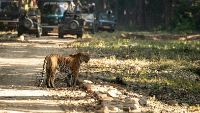 Shimla Kullu Manali Chandigarh by Car